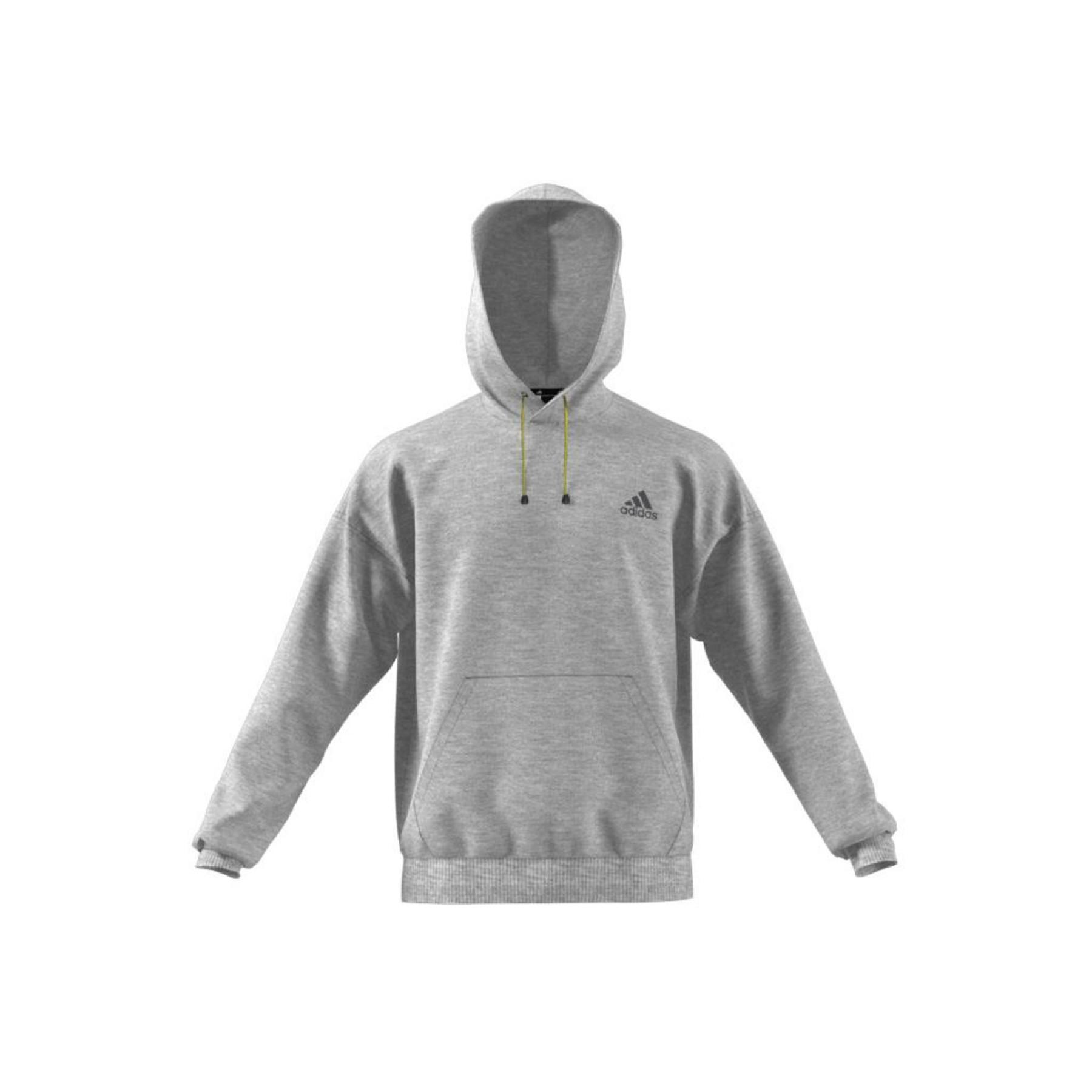 Hooded sweatshirt adidas Mountain Graphic