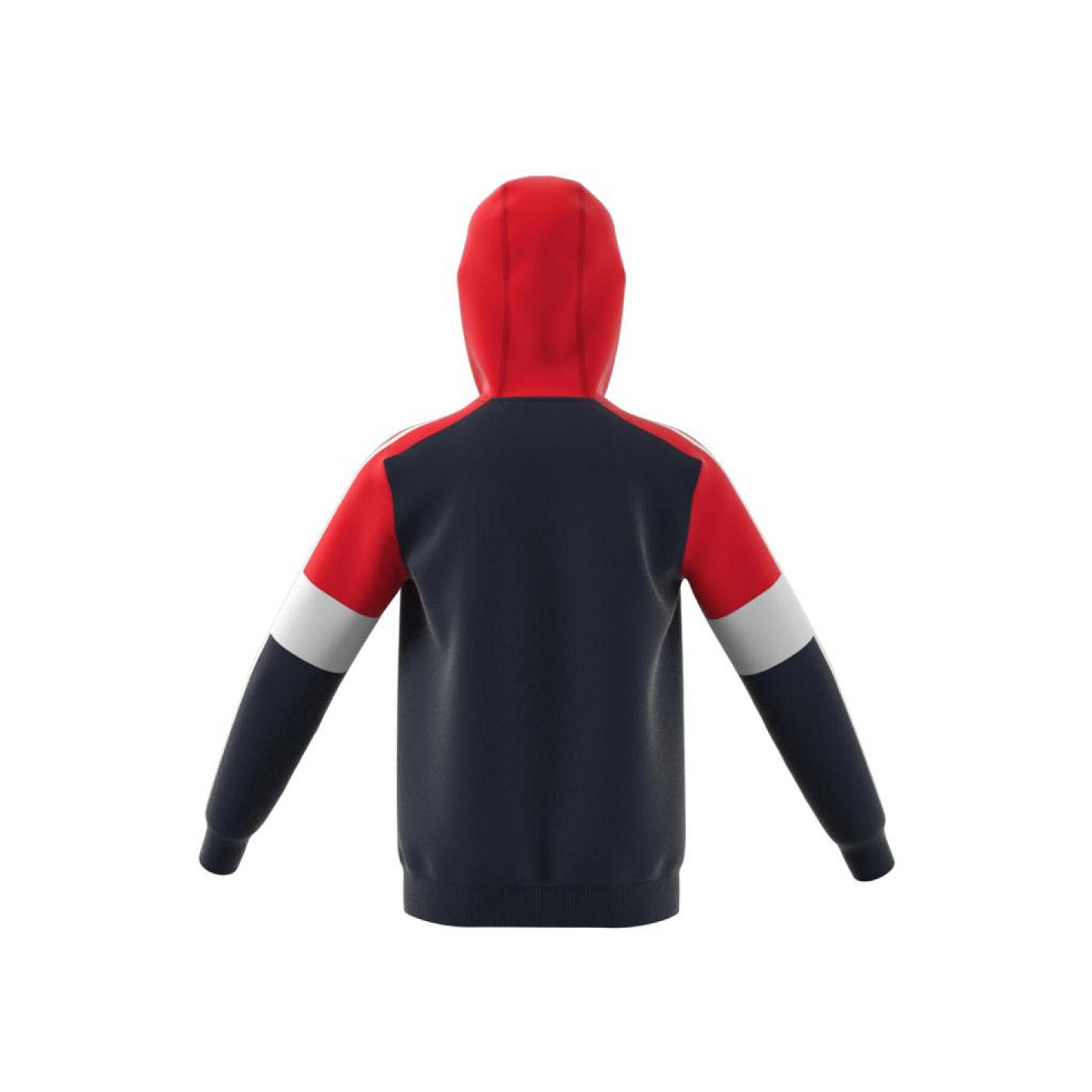 Sweater met capuchon voor kinderen adidas Essentials Colorblock