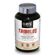 Tribulus synergy+ testosteron & spierkracht booster STC Nutrition - 90 gélules végétales