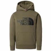 Hooded sweatshirt The north Face Youth Drew Peak