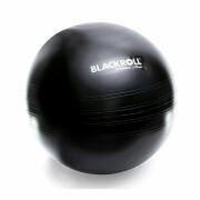 Sportschool ball Blackroll 65