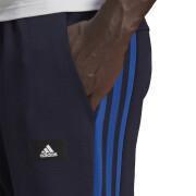Broek adidas Sportswear Future Icons 3-Stripes